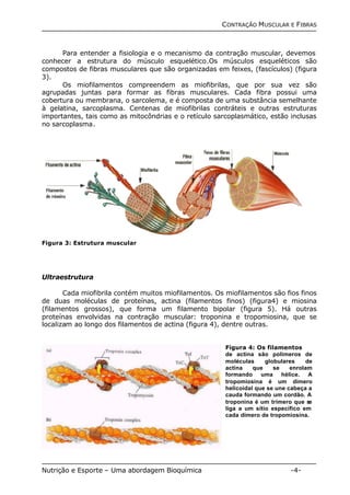 CONTRAÇÃO MUSCULAR E FIBRAS 
Para entender a fisiologia e o mecanismo da contração muscular, devemos 
conhecer a estrutura do músculo esquelético.Os músculos esqueléticos são 
compostos de fibras musculares que são organizadas em feixes, (fascículos) (figura 
3). 
Os miofilamentos compreendem as miofibrilas, que por sua vez são 
agrupadas juntas para formar as fibras musculares. Cada fibra possui uma 
cobertura ou membrana, o sarcolema, e é composta de uma substância semelhante 
à gelatina, sarcoplasma. Centenas de miofibrilas contráteis e outras estruturas 
importantes, tais como as mitocôndrias e o retículo sarcoplasmático, estão inclusas 
no sarcoplasma. 
Figura 3: Estrutura muscular 
Ultraestrutura 
Cada miofibrila contém muitos miofilamentos. Os miofilamentos são fios finos 
de duas moléculas de proteínas, actina (filamentos finos) (figura4) e miosina 
(filamentos grossos), que forma um filamento bipolar (figura 5). Há outras 
proteínas envolvidas na contração muscular: troponina e tropomiosina, que se 
localizam ao longo dos filamentos de actina (figura 4), dentre outras. 
Figura 4: Os filamentos 
de actina são polímeros de 
moléculas globulares de 
actina que se enrolam 
formando uma hélice. A 
tropomiosina é um dímero 
helicoidal que se une cabeça a 
cauda formando um cordão. A 
troponina é um trímero que se 
liga a um sítio específico em 
cada dímero de tropomiosina. 
Nutrição e Esporte – Uma abordagem Bioquímica -4- 
 