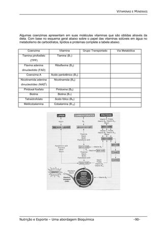 VITAMINAS E MINERAIS 
Algumas coenzimas apresentam em suas moléculas vitaminas que são obtidas através da 
dieta. Com base no esquema geral abaixo sobre o papel das vitaminas solúveis em água no 
metabolismo de carboidratos, lipídios e proteínas complete a tabela abaixo. 
Coenzima Vitamina Grupo Transportado Via Metabólica 
Tiamina pirofosfato 
(TPP) 
Tiamina (B1) 
Flavina adenina 
dinucleotídio (FAD) 
Riboflavina (B2) 
Coenzima A Ácido pantotênico (B3) 
Nicotinamida adenina 
dinucleotídeo (NAD+) 
Nicotinamida (B5) 
Piridoxal-fosfato Piridoxina (B6) 
Biotina Biotina (B7) 
Tetraidrofolato Ácido fólico (B9) 
Metilcobalamina Cobalamina (B12) 
Nutrição e Esporte – Uma abordagem Bioquímica -90- 
 