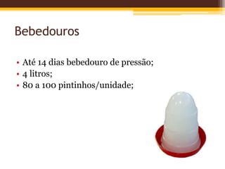 Bebedouros
• Até 14 dias bebedouro de pressão;
• 4 litros;
• 80 a 100 pintinhos/unidade;
 
