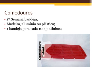 Comedouros
• 1º Semana bandeja;
• Madeira, alumínio ou plástico;
• 1 bandeja para cada 100 pintinhos;
 