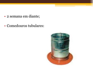 • 2 semana em diante;
• Comedouros tubulares;
 