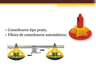 • Comedouros tipo prato;
• Fileira de comedouros automáticos;
 