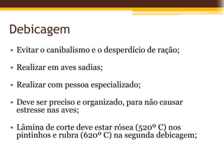 Debicagem
• Evitar o canibalismo e o desperdício de ração;
• Realizar em aves sadias;
• Realizar com pessoa especializado;
• Deve ser preciso e organizado, para não causar
estresse nas aves;
• Lâmina de corte deve estar rósea (520º C) nos
pintinhos e rubra (620º C) na segunda debicagem;
 