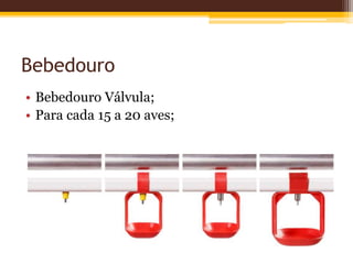 Bebedouro
• Bebedouro Válvula;
• Para cada 15 a 20 aves;
 