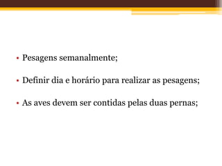 • Pesagens semanalmente;
• Definir dia e horário para realizar as pesagens;
• As aves devem ser contidas pelas duas pernas;
 