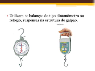 • Utilizam-se balanças do tipo dinamômetro ou
relógio, suspensas na estrutura do galpão.
 