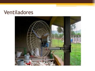 Ventiladores
 