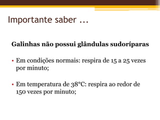 Importante saber ...
Galinhas não possui glândulas sudoríparas
• Em condições normais: respira de 15 a 25 vezes
por minuto;
• Em temperatura de 38°C: respira ao redor de
150 vezes por minuto;
 