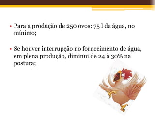• Para a produção de 250 ovos: 75 l de água, no
mínimo;
• Se houver interrupção no fornecimento de água,
em plena produção, diminui de 24 à 30% na
postura;
 