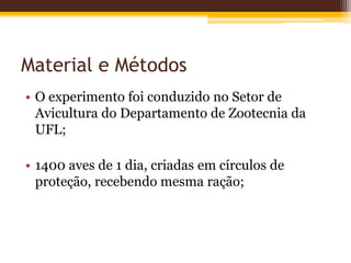 Material e Métodos
• O experimento foi conduzido no Setor de
Avicultura do Departamento de Zootecnia da
UFL;
• 1400 aves de 1 dia, criadas em círculos de
proteção, recebendo mesma ração;
 