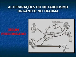 ALTERARAÇÕES DO METABOLISMO ORGÂNICO NO TRAUMA JEJUM PROLONGADO 