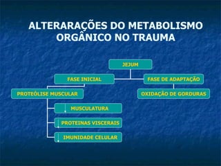 ALTERARAÇÕES DO METABOLISMO ORGÂNICO NO TRAUMA JEJUM FASE INICIAL FASE DE ADAPTAÇÃO OXIDAÇÃO DE GORDURAS PROTEÓLISE MUSCULAR MUSCULATURA PROTEINAS VISCERAIS IMUNIDADE CELULAR 