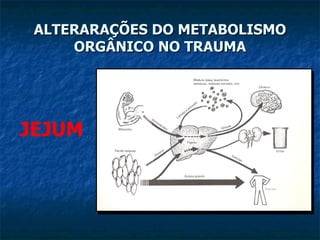 ALTERARAÇÕES DO METABOLISMO ORGÂNICO NO TRAUMA JEJUM 