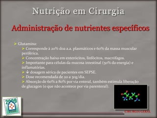 Nutrição Em Cirurgia