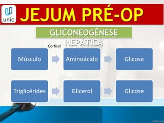 Músculo Aminoácido Glicose
JEJUM PRÉ-OP
GLICONEOGÊNESE
HEPÁTICACortisol
Triglicérides Glicerol Glicose
 