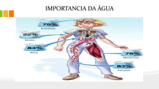 IMPORTANCIA DA ÁGUA
 
