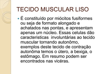 TECIDO MUSCULAR LISOÉ constituído por miócitos fusiformes ou seja de formato alongado e achatados nas pontas, e apresentam apenas um núcleo. Essas celulas dão caracteristicas  involuntárias ao tecido muscular tornando autonômo, exemplos deste tecido de contração autonôma temos o útero, a bexiga, o estômago. Em resumo podem ser encontrados nas vicéras.