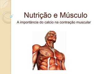 Nutrição e Músculo A importância do calcio na contração muscular  
