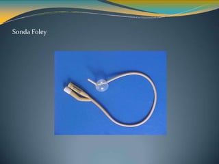 Sonda Foley
 