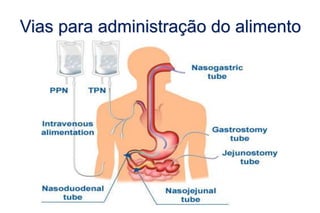 Vias para administração do alimento
 