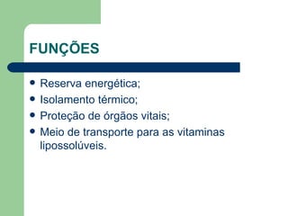 FUNÇÕES Reserva energética; Isolamento térmico; Proteção de órgãos vitais; Meio de transporte para as vitaminas lipossolúveis. 