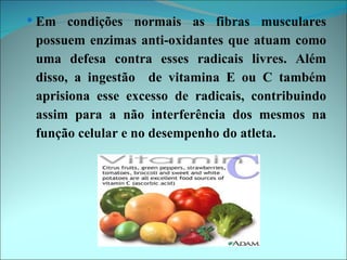  Em condições normais as fibras musculares
 possuem enzimas anti-oxidantes que atuam como
 uma defesa contra esses radicais livres. Além
 disso, a ingestão de vitamina E ou C também
 aprisiona esse excesso de radicais, contribuindo
 assim para a não interferência dos mesmos na
 função celular e no desempenho do atleta.
 