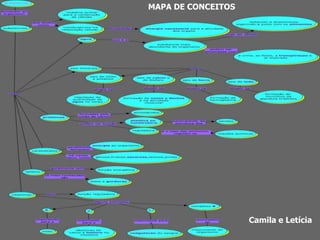 MAPA DE CONCEITOS




                    Camila e Letícia
 