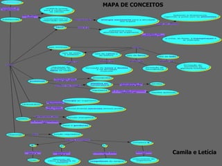 MAPA DE CONCEITOS




                    Camila e Letícia
 