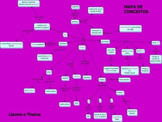 MAPA DE
                  CONCEITOS




Lianne e Thaina
 