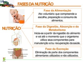 FASESDANUTRIÇÃO
NUTRIÇÃO
Fase da Alimentação
Ato voluntário que compreende a
escolha, preparação e consumode
alimentos.
Fase da Digestão, Absorção e do
Metabolismo
Inicia-se apartir da ingestão do alimento
e vai até o momento que o organismo
utiliza seuscomponentes para
manutenção e/ou recuperação dasaúde.
Fase da Excreção
Eliminação de parte dos componentes
alimentares utilizados e nãoutilizados.
 