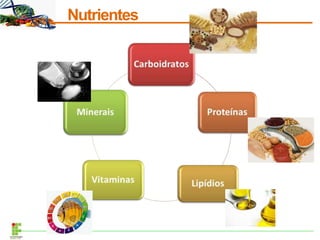 Nutrientes
 