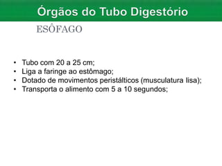 ESÔFAGO
• Tubo com 20 a 25 cm;
• Liga a faringe ao estômago;
• Dotado de movimentos peristálticos (musculatura lisa);
• Transporta o alimento com 5 a 10 segundos;
 