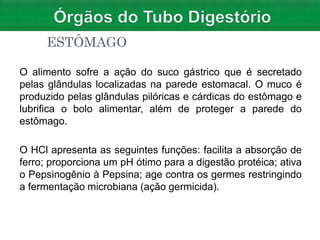 ESTÔMAGO
O alimento sofre a ação do suco gástrico que é secretado
pelas glândulas localizadas na parede estomacal. O muco é
produzido pelas glândulas pilóricas e cárdicas do estômago e
lubrifica o bolo alimentar, além de proteger a parede do
estômago.
O HCl apresenta as seguintes funções: facilita a absorção de
ferro; proporciona um pH ótimo para a digestão protéica; ativa
o Pepsinogênio à Pepsina; age contra os germes restringindo
a fermentação microbiana (ação germicida).
 