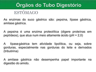 ESTÔMAGO
gástrico são: pepsina, lípase gástrica,
As enzimas do suco
amilase gástrica.
A pepsina é uma enzima proteolítica (digere proteínas em
peptídeos), que atua num meio altamente ácido (pH = 2,0)
gástrica tem atividade lipolítica,
especialmente nas gorduras do
ou seja, sobre
leite e derivados
A lípase
gorduras,
(tributirina)
não desempenha papel importante na
A amilase gástrica
digestão do amido.
 