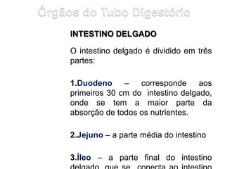 INTESTINO DELGADO
O intestino delgado é dividido em três
partes:
1.Duodeno – corresponde aos
primeiros 30 cm do intestino delgado,
onde se tem a maior parte da
absorção de todos os nutrientes.
2.Jejuno – a parte média do intestino
3.Íleo – a parte final do intestino
 