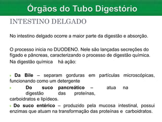 INTESTINO DELGADO
No intestino delgado ocorre a maior parte da digestão e absorção.
O processo inicia no DUODENO. Nele são lançadas secreções do
fígado e pâncreas, caracterizando o processo de digestão química.
Na digestão química há ação:
 Da Bile – separam gorduras em partículas microscópicas,
funcionando como um detergente
 Do suco pancreático – atua na
digestão das proteínas,
carboidratos e lipídeos.
 Do suco entérico – produzido pela mucosa intestinal, possui
enzimas que atuam na transformação das proteínas e carboidratos.
 