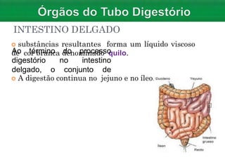 INTESTINO DELGADO
 substâncias resultantes forma um líquido viscoso
de cor branca denominado quilo.
 A digestão continua no jejuno e no íleo.
do processo
no intestino
Ao término
digestório
delgado, o conjunto de
 
