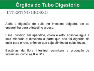 INTESTINO GROSSO
delgado, ele se
Após a digestão do quilo no intestino
encaminha para o intestino grosso.
Esse, dividido em apêndice, cólon e reto, absorve água e
sais minerais e direciona a parte que não foi digerida do
quilo para o reto, a fim de que seja eliminada pelas fezes.
Bactérias da flora intestinal permitem a produção de
vitaminas, como as K e B12.
 
