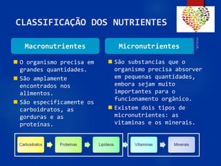 45
CLASSIFICAÇÃO DOS NUTRIENTES
 O organismo precisa em
grandes quantidades.
 São amplamente
encontrados nos
alimentos.
 São especificamente os
carboidratos, as
gorduras e as
proteínas.
 São substancias que o
organismo precisa absorver
em pequenas quantidades,
embora sejam muito
importantes para o
funcionamento orgânico.
 Existem dois tipos de
micronutrientes: as
vitaminas e os minerais.
Macronutrientes Micronutrientes
 