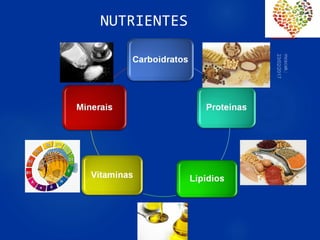 46
NUTRIENTES
 