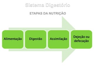 Alimentação Digestão Assimilação
Dejeção ou
defecação
 