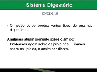  O nosso corpo produz vários tipos de enzimas
digestórias.
Amilases atuam somente sobre o amido;
Proteases agem sobre as proteínas; Lípases
sobre os lipídios, e assim por diante.
ENZIMAS
 