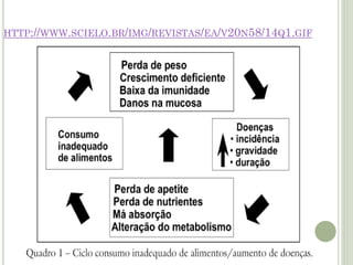 O aumento de renda das famílias brasileiras e o
declínio substancial da pobreza observados entre
1970 e 1980 certamente de...