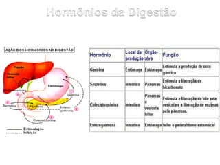 42
Alimentos
 Existem alimentos que só fornecem as chamadas
calorias vazias, ou seja, são concentrados em
certas substanc...