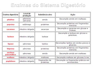 Nutrientes
 São todas as substancias químicas que fazem
parte dos alimentos. São absorvidos pelo
organismo, sendo indispe...