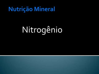 Nitrogênio
 
