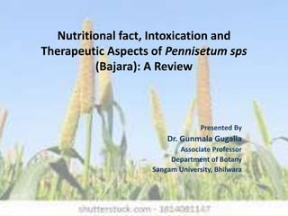 Nutritional fact, Intoxication and
Therapeutic Aspects of Pennisetum sps
(Bajara): A Review
Presented By
Dr. Gunmala Gugalia
Associate Professor
Department of Botany
Sangam University, Bhilwara
 