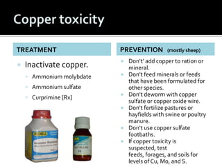 TREATMENT                  PREVENTION         (mostly sheep)

                              Don’t’ add copper to ration o...