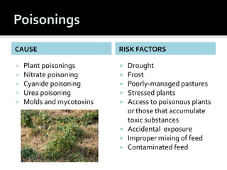 CAUSE                      RISK FACTORS

   Plant poisonings        Drought
   Nitrate poisoning       Frost
   Cyanide poisoning       Poorly-managed pastures
   Urea poisoning          Stressed plants
   Molds and mycotoxins    Access to poisonous plants
                             or those that accumulate
                             toxic substances
                            Accidental exposure
                            Improper mixing of feed
                            Contaminated feed
 