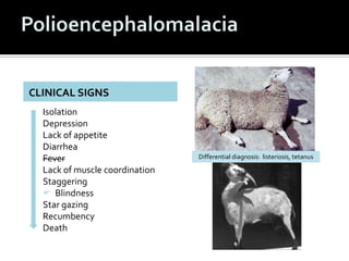 CLINICAL SIGNS
  Isolation
  Depression
  Lack of appetite
  Diarrhea
  Fever                         Differential diagnosis: listeriosis, tetanus

  Lack of muscle coordination
  Staggering
   Blindness
  Star gazing
  Recumbency
  Death
 
